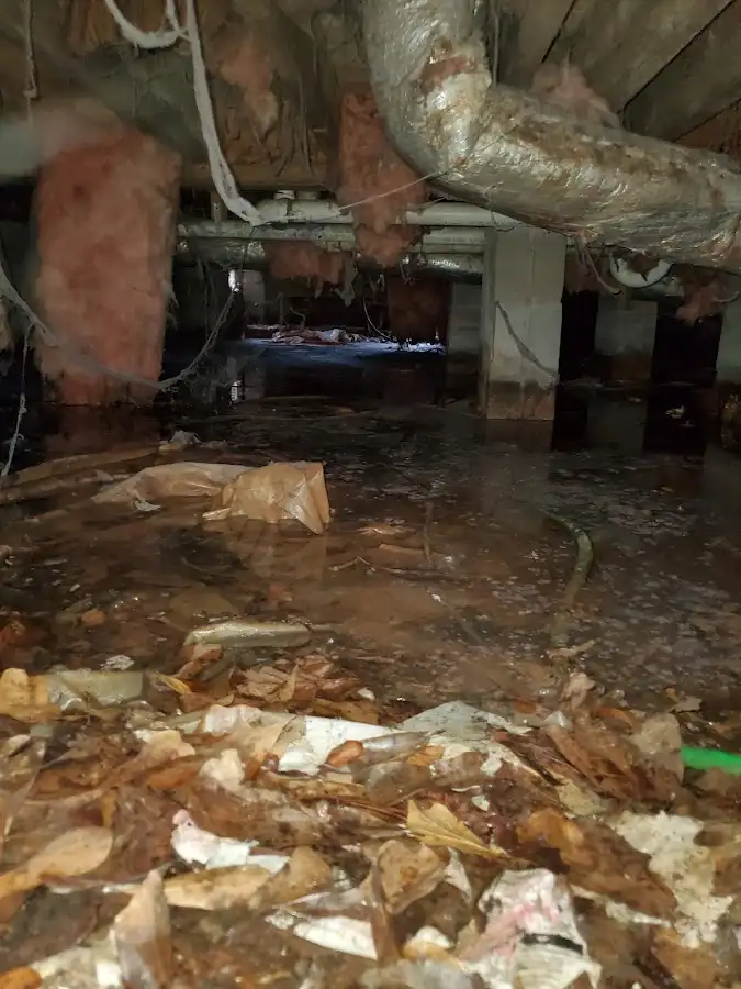 Crawl space flood assessment for Leak Detection & Repair in Mayfair